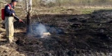 Ландшафтный пожар разгорелся в районе Ключ-Камышинского плато