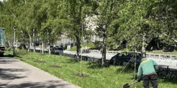 В Новосибирске продолжается обновление аллеи на Красном проспекте