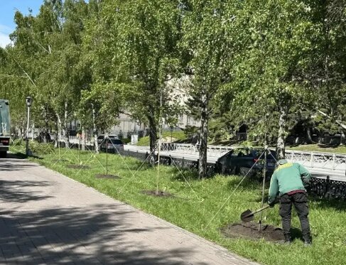 В Новосибирске продолжается обновление аллеи на Красном проспекте