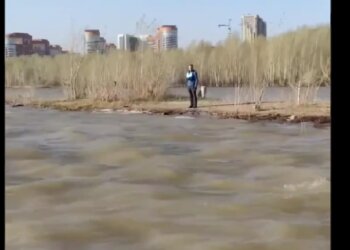 Стихия оказалась сильнее: новосибирца на сапборде унесло течением от берега