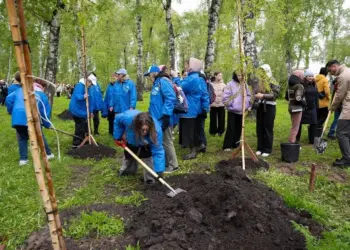 Берёзы и черёмухи: новосибирские энергетики озеленили сквер «Героев Донбасса»