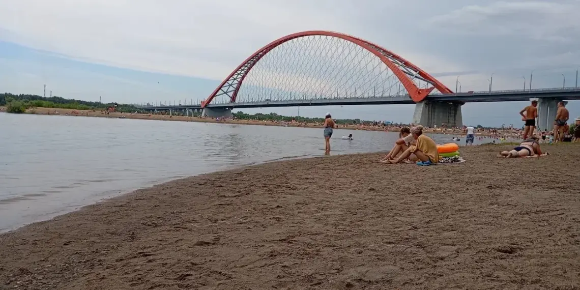 Новосибирцев позвали на уборку под Бугринским мостом