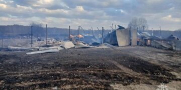 В Томской области назвали причину пожара, уничтожившего 16 домов
