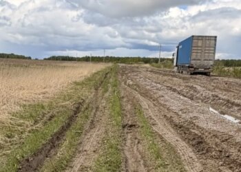 Паводок не сдаётся: в регионе на три недели закроют одну из дорог