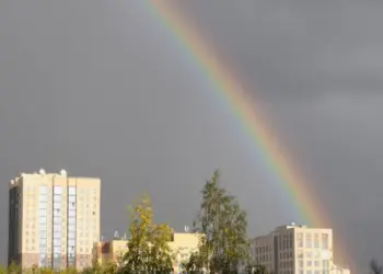 Жара под +30 придёт в Новосибирскую область