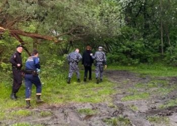 Подросток спрыгнул с моста в Новосибирске: спасатели нашли его на островке с колото-резаной раной шеи