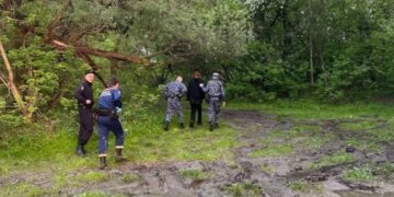 Подросток спрыгнул с моста в Новосибирске: спасатели нашли его на островке с колото-резаной раной шеи