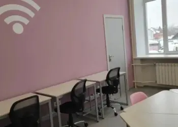 Обществознание лидирует среди предметов ЕГЭ по выбору у новосибирских выпускников