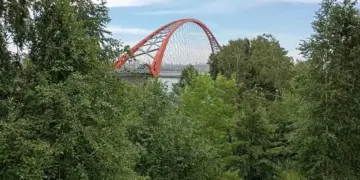 Россияне отдохнут сразу три дня в начале лета