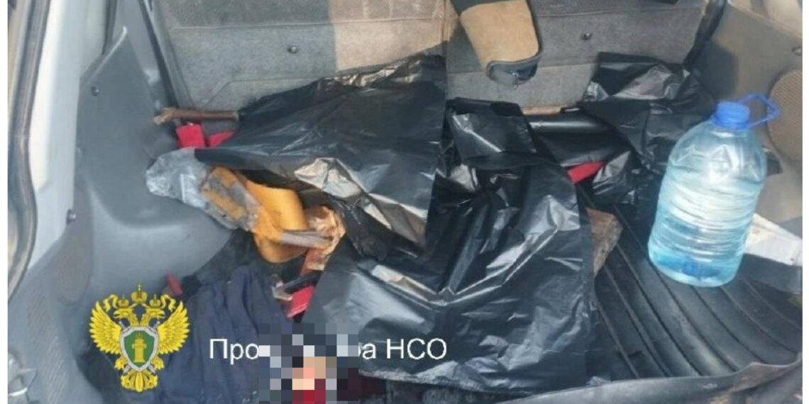 В Барабинске осудили браконьеров за отстрел пяти косуль