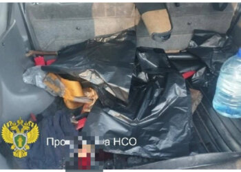 В Барабинске осудили браконьеров за отстрел пяти косуль