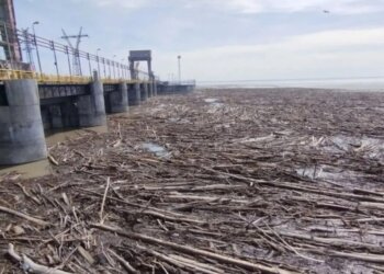 На воду ни ногой: 11 мая через Новосибирскую ГЭС пропустят древесину