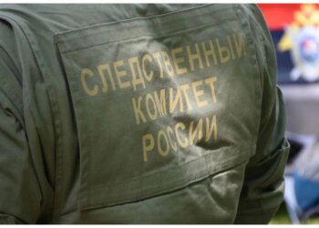 В Красноярском крае раскрыли схему с фиктивным трудоустройством ради субсидий