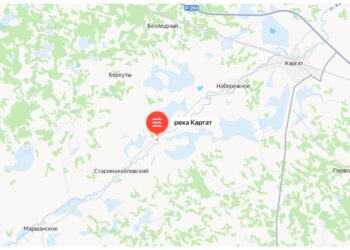 Река Каргат может выйти из берегов в Новосибирской области