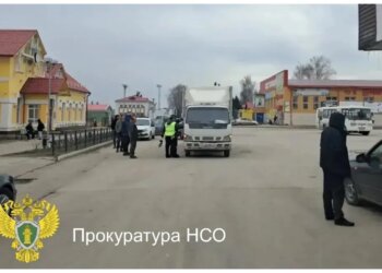 Водитель в Черепаново насмерть сбил пенсионерку и отправился в колонию