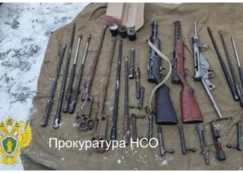 Затейливого коллекционера из Новосибирска задержали за контрабанду оружия
