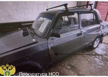 Водитель из НСО из-за своих проделок потерял «Пятёрку» и 200 тысяч