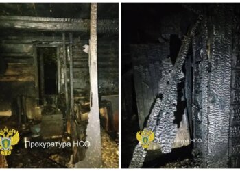 Новосибирца арестовали за поджог дома с женщиной и 5-летней девочкой