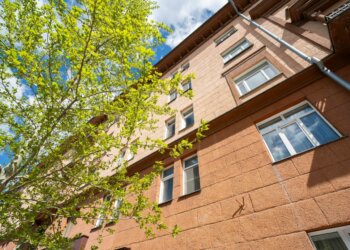 Высокая концентрация пыльцы березы продержится в Новосибирске до вторника