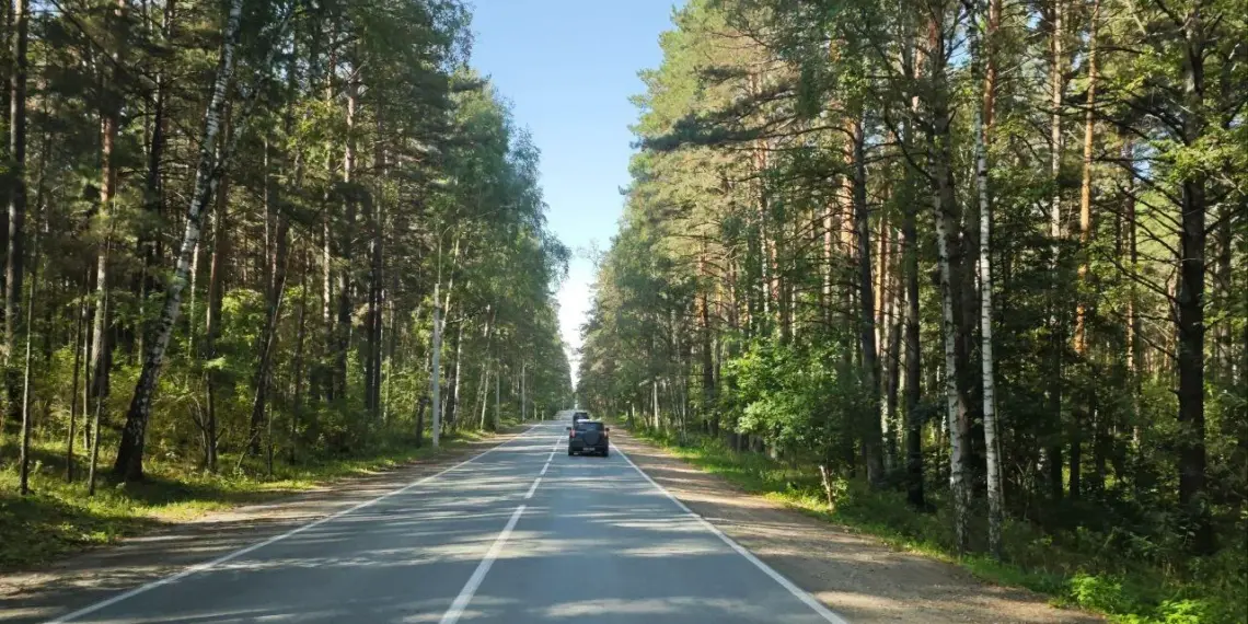 В Новосибирске собираются построить дорогу к транспортному узлу «Университет»