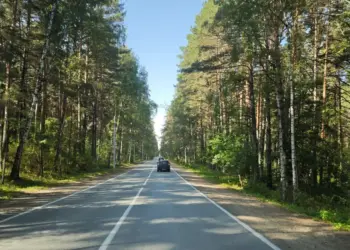 В Новосибирске собираются построить дорогу к транспортному узлу «Университет»