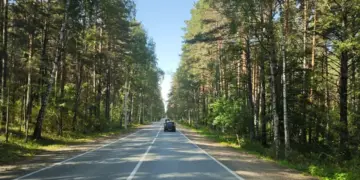 В Новосибирске собираются построить дорогу к транспортному узлу «Университет»