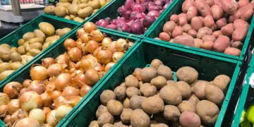 Стоимость борщевого набора в Новосибирской области снизилась на 23,5% за год