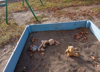 Сервис по розыску пропавших детей в НСО завоевал награды самой престижной цифровой премии