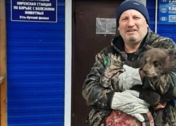 Медвежонок-сирота из Усть-Кута нашел дом в зоопарке на Байкале