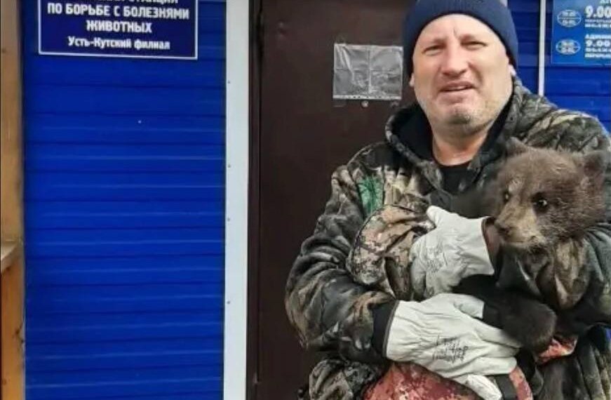 Медвежонок-сирота из Усть-Кута нашел дом в зоопарке на Байкале