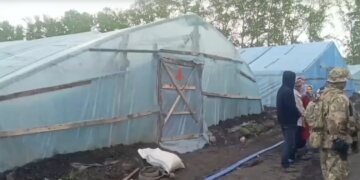 В Искитимском районе силовики выявили нелегальных мигрантов в теплицах