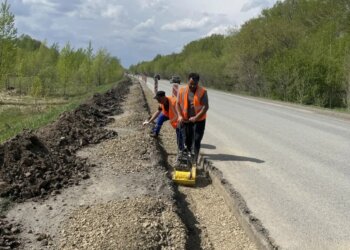 Из города – без опаски: на Толмачёвском шоссе начали строить тротуар