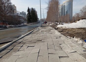 Землетрясение магнитудой 4,2 произошло в Искитимском районе Новосибирской области