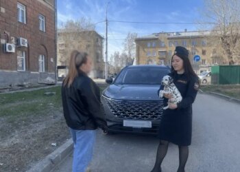 Объявление о продаже щенков далматинца помогло приставам найти должника