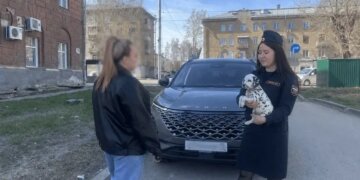 Объявление о продаже щенков далматинца помогло приставам найти должника