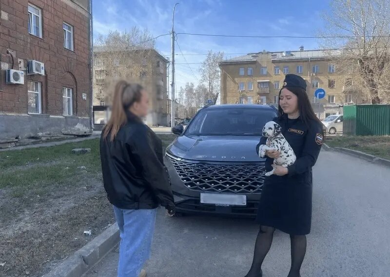 Объявление о продаже щенков далматинца помогло приставам найти должника