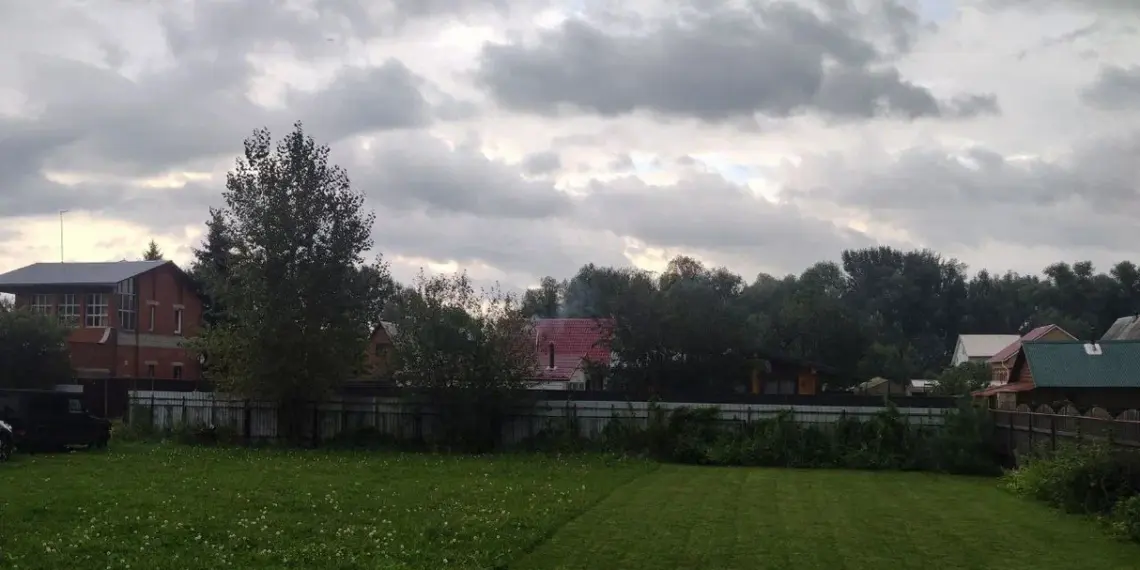В Новосибирске вводят штраф за сорняки на дачах