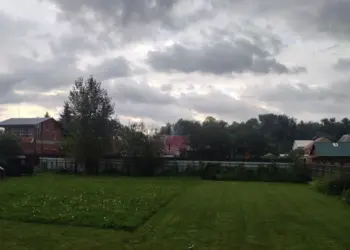 В Новосибирске вводят штраф за сорняки на дачах