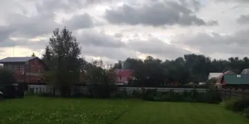 В Новосибирске вводят штраф за сорняки на дачах