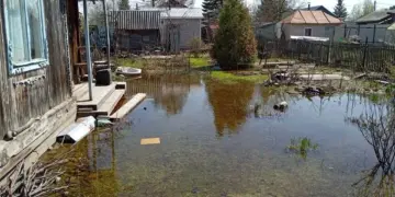 Новосибирск вошёл в числе лидеров по паразитарному загрязнению почвы в России
