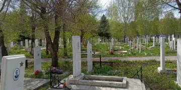 В Новосибирске обсуждают расширение Южного кладбища