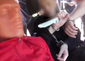 Геномная экспертиза помогла раскрыть убийство 12-летней давности в НСО