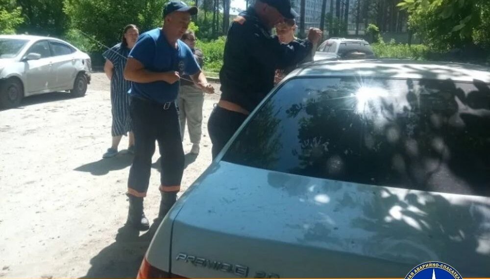 Годовалая девочка оказалась заперта в жару в автомобиле в Новосибирске