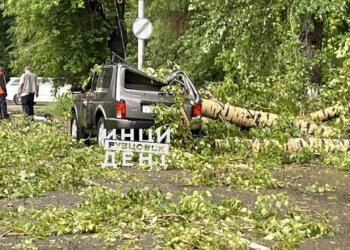 Деревья рухнули на автомобили из-за ураганного ветра в Сибири