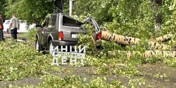 Деревья рухнули на автомобили из-за ураганного ветра в Сибири