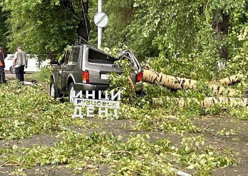 Деревья рухнули на автомобили из-за ураганного ветра в Сибири