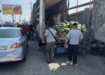 Придорожный контрафакт: на Гусинке изъяли тонны арбузов