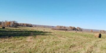 В Новосибирской области обнаружено более тысячи гектаров заброшенных сельхозземель в одном сельсовете