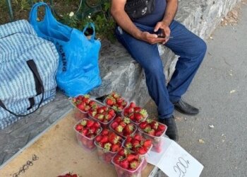 Торговцев с 200 кг фруктов и цветов поймали в Новосибирске