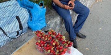 Торговцев с 200 кг фруктов и цветов поймали в Новосибирске
